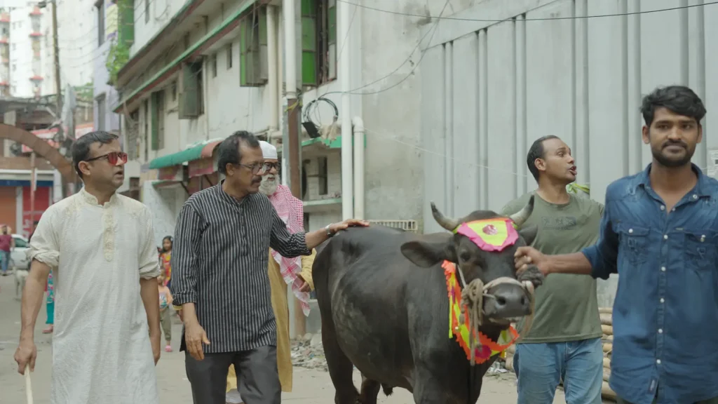 7 Flat er Qurbani still of men walking with a decorated cow through a street